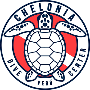 Chelonia Dive Center